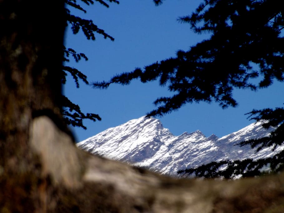 smugkig, glacier bjerg, blå, himmel, bjerg, sne, spids, topmøde, træ, bjergkæde, scenics - natur, landskab, miljø, bjergtop, natur, ødemark, vinter, skønhed i naturen, kold temperatur, aktivitet, jord, ekstremt terræn, ingen mennesker, snedækket bjerg, udendørs, fyrretræ, nåletræ, 4K