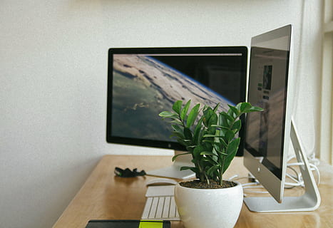 testat, verd, planta, marró, taula, ordinadors, monitors, tecnologia, escriptori, Internet, en línia, teclat, monitor d’ordinador, pantalla, lcd, oficina, modern, blanc, PC, negocis, equipament, Pantalla d'ordinador, comunicació, electrònica, planta en test, a l'interior, creixement, naturalesa, cap gent, marc, interior de casa, funció de construcció de parets, finestra, vidre - material, dia, arquitectura, primer pla, transparent, planta d'interior, test de flor, 4K, CC0, domini públic, lliure de regalies