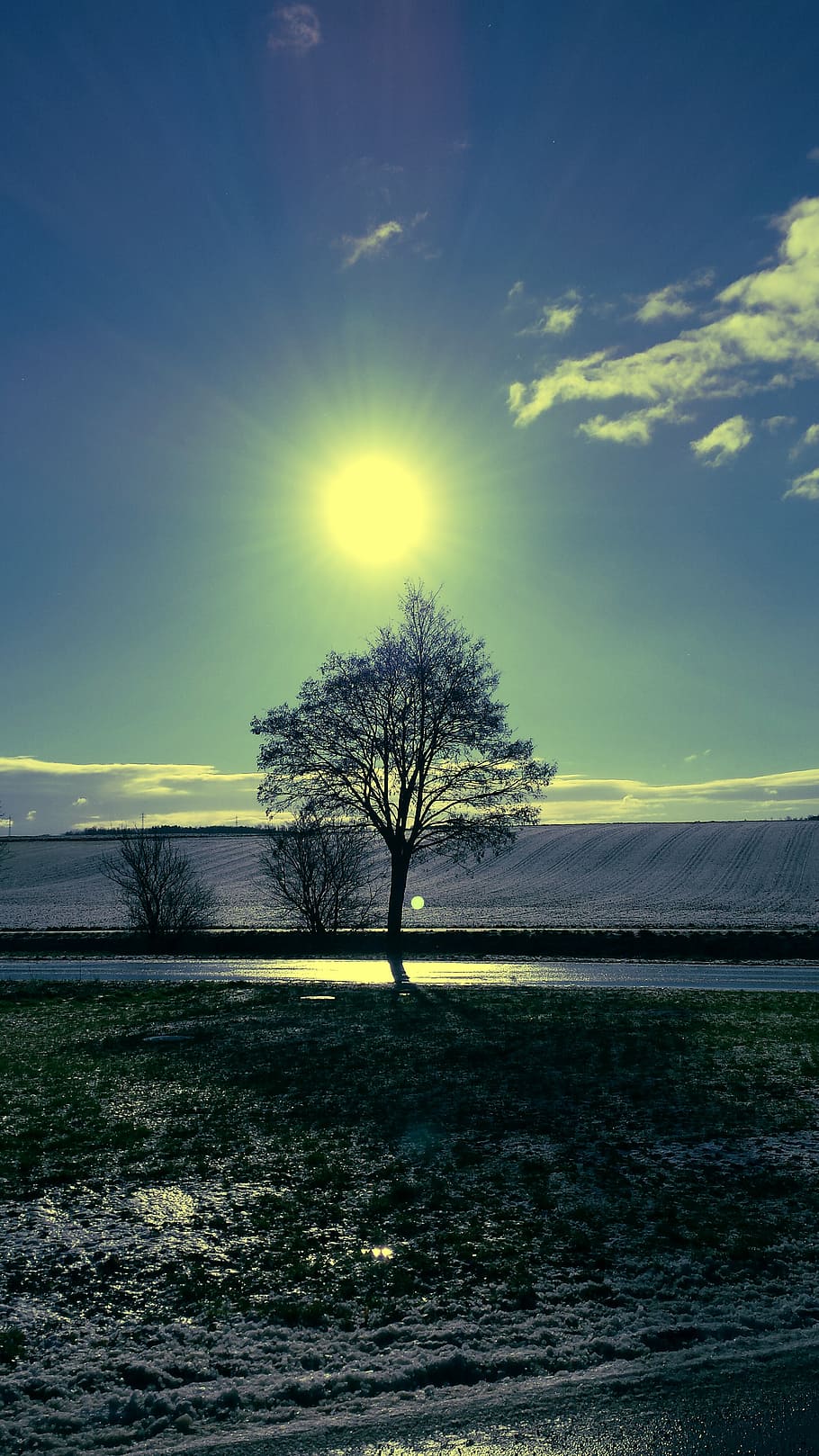 sol, arbre, cel, humor, llum de fons, naturalesa, weinviertel, Baixa Austràlia, blau, cel blau, paisatge, Austràlia, camps, posta de sol, llum solar, a l'aire lliure, escena tranquil·la, tranquil·litat, camp, bellesa a la natura, escenics - natura, arbre nu, medi ambient, terra, planta, cap gent, escena no urbana, núvol - cel, solitud, flare de la lent, aïllat, 4K