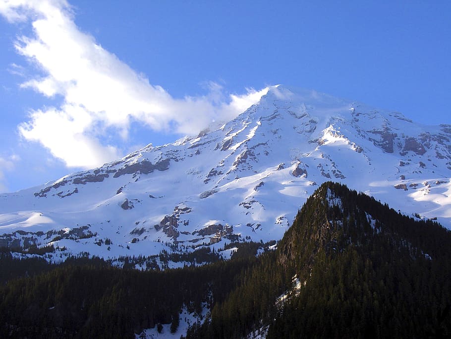 mount ranier, Washington, nebe, mraky, hora, mezník, slavný, míst určení, sníh, led, les, stromy, scénický, Příroda, mimo, studená teplota, zimní, scenics - příroda, krása v přírodě, zasněžené hory, klidné scény, mrak - nebe, klid, pohoří, životní prostředí, mimoměstské scény, krajina, idylický, rostlina, nikdo, horský vrchol, borovice, jehličnatého stromu, 2K