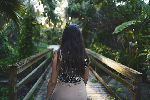Frau, tragen, schwarz, braun, ärmelloses Kleid, Gehen, hölzern, Steg, tagsüber, Wald, Blätter, Modell-, Park, Weg, Person, Pflanzen, Gehweg, Holz, Holzbrücke, Holzboden, Handlauf aus Holz, Rückansicht, lange Haare, eine Person, Geländer, nur für Erwachsene, nur eine frau, Tag, nur Frauen, draußen, Baum, echte Menschen, Haar, Frisur, Lebensstile, Freizeitbeschäftigung, Pflanze, Legere Kleidung, Natur, Stehen, junger Erwachsener, Dreiviertel Länge, braune Haare, Teenager, 4K, CC0, gemeinfrei, lizenzfrei