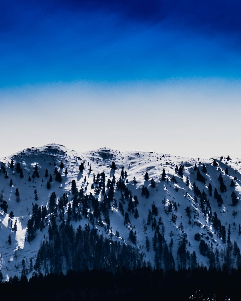 la neve, capped, montagna, blu, cielo, giorno, coperto, catena montuosa, foresta, pineta, Innevato, avventura, escursionista, vagare, cielo sereno, canone, Esplorare, inverno, umore, drammatico, natura, mattina, scoprire, alp, alpino, foto, temperatura fredda, scenics - natura, scena tranquilla, ambiente, bellezza nella natura, la tranquillità, paesaggio, albero, pianta, nessuno, scena non urbana, montagna innevata, nuvola - cielo, all'aperto, 2K