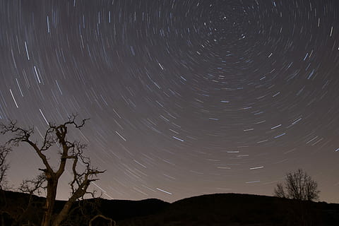 mælkeagtig, vejs galaksehimmel, fotografering, stjerne trail, træ, stjerne, himmel, nat, lang eksponering, silhuet, kædehastighed, vortex, Nordstjernen, Polari, sti, himmelsk, plads, astronomi, stjerne - rum, scenics - natur, lav vinkel visning, skønhed i naturen, bevægelse, natur, rolig scene, ro, plante, ingen mennesker, stjerne felt, koncentriske, rum og astronomi, 4K, CC0, offentligt domæne, royaltyfrie