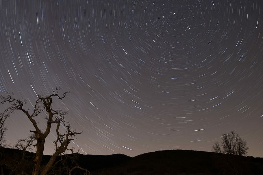 lletós, manera galàxia cel, fotografia, estel, arbre, estrella, cel, nit, exposició prolongada, silueta, velocitat de l'ordit, vortex, estrella del nord, polari, ruta, celestial, espai, astronomia, estrella - espai, exposició llarga, escenics - natura, vista d’angle baix, bellesa a la natura, moviment, naturalesa, escena tranquil·la, tranquil·litat, planta, cap gent, camp estel·lar, concèntric, espai i astronomia, 4K