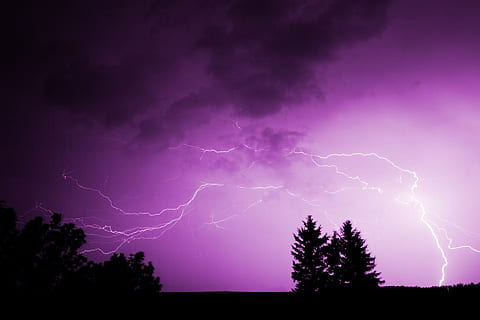 Violet, negru, nori, fulger, nor, Pericol, întuneric, dramatic, electric, electricitate, energie, ușoară, noapte, putere, ploaie, cer, furtună, grevă, tunet, vreme, putere în natură, nor - cer, frumusețe în natură, siluetă, copac, dramatic cer, nici o persoana, natură, scenice - natura, plantă, mediu inconjurator, un fulger furcat, în aer liber, de rău augur, 1080P, CC0, domeniu public, fără drepturi de autor