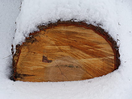 lumi, talvi-, runko, puu, sademäärä, metsä, halla, valkoinen, joulukuusi, luonto, vihreä, kasvi, kasvillisuus, kasvit, ympäristö, Puola, värit, tapetti, rakenne, tausta, pöytä-, grafiikka, abstraktio, luovuus, koriste, puinen, puun rakenne, lauta, puiset laudat, taustalevyt, kuvioitu, ruskea, kultainen, rakennuksen rakenne, luonnollinen, levyt, panelointi, kerros, kylmä lämpötila, ei ihmisiä, päivä, valkoinen väri, ulkona, puu - materiaali, maa, lähikuva, kauneus luonnossa, päällyste, rakennettu rakenne, geometrinen muoto, 4K, CC0, public domain, rojaltivapaa