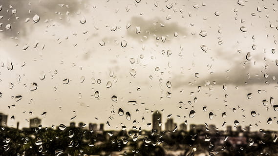 Foto, dråber, vand, regn, by, vindue, regndråbe, eftermiddag, dråbe, glas - materiale, våd, indendørs, himmel, ingen mennesker, gennemsigtig, natur, dag, fokus på forgrunden, tæt på, udendørs, baggrunde, arkitektur, dyr, regntiden, flok af fugle, 2K, CC0, offentligt domæne, royaltyfrie