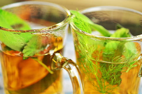Foto, klar, glas teacups, urtete, urter, tee, mynte, aroma, salvie, fennikel, sund og rask, drikke, medicinske urter, velsigne dig, pebermynte, healing, blade, te urter, naturlægemidler plante, teegläser, glas, mad og drikke, forfriskning, urt, blad, mad, husholdningsudstyr, drikkeglas, tæt på, selektiv fokusering, plante del, glas - materiale, te, mynteblad - kulinarisk, plante, grøn farve, friskhed, natur, ingen mennesker, varm drikke, te - varm drikke, te kop, 4K, CC0, offentligt domæne, royaltyfrie