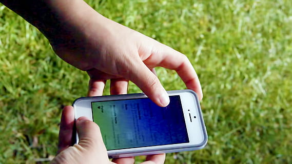 iphone, Smartphone, Anzeige, Gerät, Gadget, Netz, Apfel, Hand, Information, Bildschirm, Handy, Mobiltelefon, elektronisch, Medien, menschliche Hand, kabellose Technologie, menschliches Körperteil, Technologie, Kommunikation, Verbindung, halten, Berührungsempfindlicher Bildschirm, tragbares Informationsgerät, eine Person, Nahansicht, Gras, Tag, Fokus auf den Vordergrund, Natur, draußen, Finger, 1080P, CC0, gemeinfrei, lizenzfrei