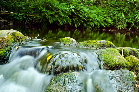 Wasser, Fluss, Geschwindigkeit, aktuell, Element, Steine, nass, Blatt, Algen, Nahansicht, Natur, wild, Rafting, Bank, Sträucher, Bäume, Blätter, wunderschönen, sonnig, Jahreszeit, Sommer-, Ferien, Pflanze, Baum, Bewegung, Schönheit in der Natur, Szenen - Natur, Langzeitbelichtung, Bewegungsunschärfe, Rock, grüne Farbe, fließendes Wasser, keine Leute, solide, Wald, Wasserfall, Rock - Objekt, Wachstum, Moos, fließend, draußen, Regenwald, tropischer Regenwald, fallendes Wasser, Kraft in der Natur, 1080P, CC0, gemeinfrei, lizenzfrei