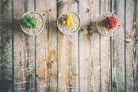 potted, plants, wooden, table, Potted plants, wooden table, various, wood, wood - Material, food, dry, nature, freshness, backgrounds, organic, food and drink, no people, sweet food, indoors, still life, healthy eating, high angle view, wellbeing, directly above, bowl, fruit, close-up, berry fruit, day, ready-to-eat, eating utensil, indulgence, 4K