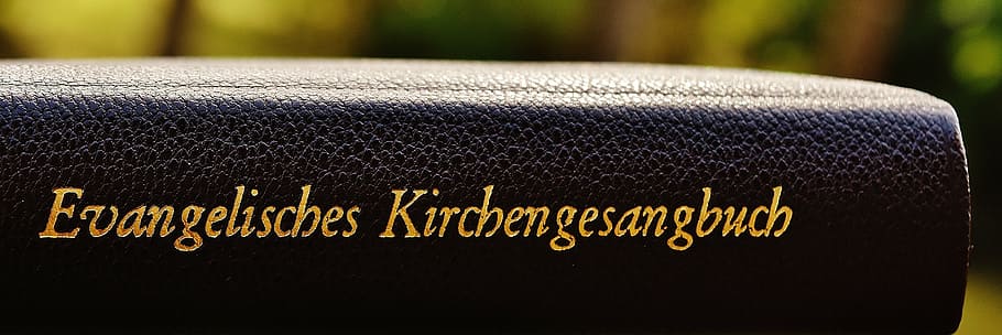 llibre, pàgines de llibres, himnal, protestant, paper, navegar, desplaçat, obert, pressió, pàgina, desplaceu-vos a, llegir, literatura, lligat, Font, coberta, vell, text, cap gent, dia, primer pla, a l'aire lliure, comunicació, guió occidental, centrar-se en primer pla, manera de transport, transport, vehicle terrestre, naturalesa, color negre, menjar i beguda, religió, signe, indústria, guió, espiritualitat, viatjar, creença, missatge, 5K