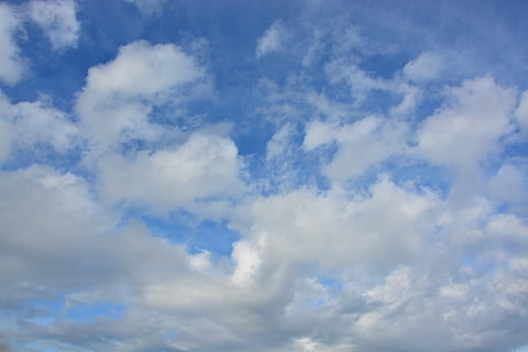debesys, balta, debesuota, kumulusas, atmosfera, balti debesys, horizonto, baltas debesis, debesis - dangus, dangus, mėlyna, grožis gamtoje, fonas, žemas kampo vaizdas, „cloudscape“, vaizdai - gamta, nėra žmonių, pobūdį, balta spalva, ramybė, dieną, aplinką, ramioje scenoje, lauke, idiliškas, meteorologija, vėjas, klimatas, minkštumas, 5K, CC0, Viešasis domenas, nemokamai