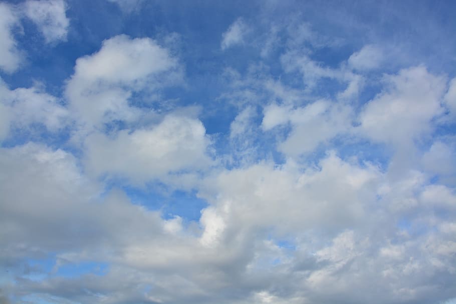 debesys, balta, debesuota, kumulusas, atmosfera, balti debesys, horizonto, baltas debesis, debesis - dangus, dangus, mėlyna, grožis gamtoje, fonas, žemas kampo vaizdas, „cloudscape“, vaizdai - gamta, nėra žmonių, pobūdį, balta spalva, ramybė, dieną, aplinką, ramioje scenoje, lauke, idiliškas, meteorologija, vėjas, klimatas, minkštumas, 5K