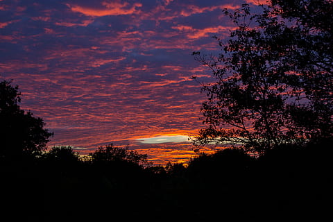 tramonto, drammatico, h, cielo, nuvole, Dramma, cielo serale, crepuscolo, atmosfera, tempo metereologico, sera, umore, gioco di colori, silhouette, albero, natura, nessuno, notte, all'aperto, paesaggio, Paesaggi, bellezza nella natura, pianta, la tranquillità, scena tranquilla, scenics - natura, nuvola - cielo, crescita, idilliaco, colore arancione, scena non urbana, terra, cielo drammatico, cielo romantico, 5K, CC0, dominio pubblico, privo di copyright