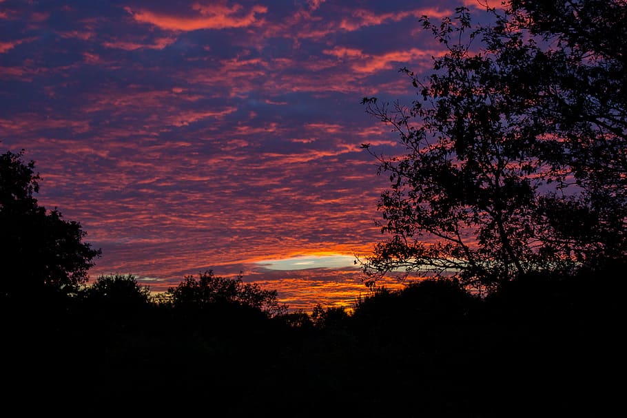 tramonto, drammatico, h, cielo, nuvole, Dramma, cielo serale, crepuscolo, atmosfera, tempo metereologico, sera, umore, gioco di colori, silhouette, albero, natura, nessuno, notte, all'aperto, paesaggio, Paesaggi, bellezza nella natura, pianta, la tranquillità, scena tranquilla, scenics - natura, nuvola - cielo, crescita, idilliaco, colore arancione, scena non urbana, terra, cielo drammatico, cielo romantico, 5K