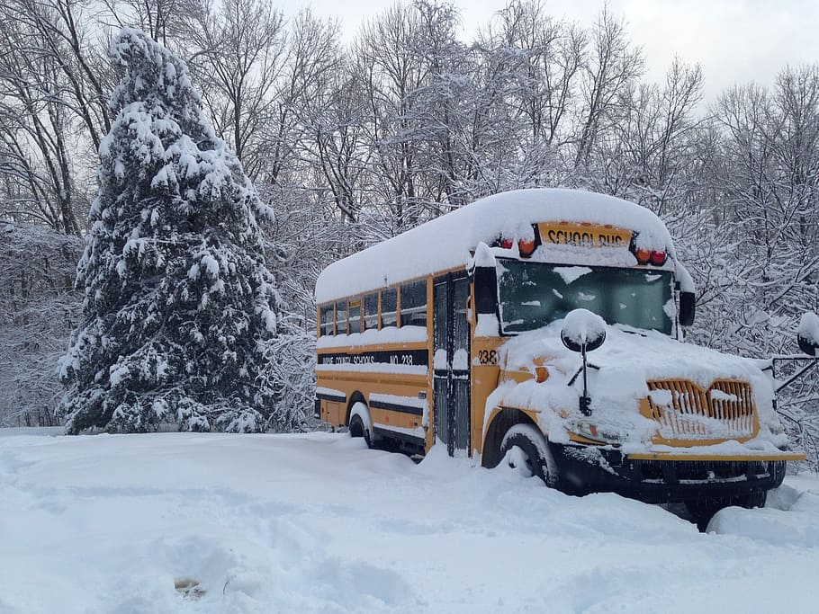 geel, schoolbus, gevulde, sneeuw, bus, winter, sneeuw, school, school-, vervoer, landschap, weer, koude temperatuur, buitenshuis, ijs-, bevroren, sneeuwstorm, sneeuwen, landvoertuig, boom, wijze van transport, natuur, dag, fabriek, land-, geen mensen, witte kleur, veld-, aan het bedekken, motorvoertuig, schoonheid in de natuur, auto, 2K