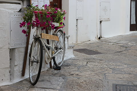 bicicletta, ristorante, fiori, piantatore, estate, puglia, ostuni, Sud, Italia, centro storico, mezzi di trasporto, veicolo terrestre, architettura, modo di trasporto, esterno dell'edificio, fiore, struttura costruita, pianta fiorita, nessuno, pianta, giorno, stazionario, Entrata, costruzione, porta, città, strada, natura, cestino, all'aperto, pavimentazione in pietra, ruota, 5K, CC0, dominio pubblico, privo di copyright