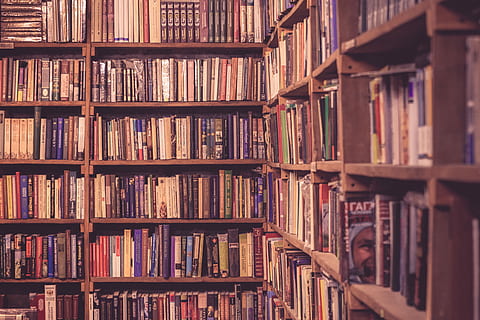 Marrone, di legno, librerie, pieno, libri, mucchio, libri con titoli assortiti, scaffale, biblioteca, libro, Astuccio, libreria, vecchio, parete, interno, Vintage ▾, sbiadito, mensola, pubblicazione, grande gruppo di oggetti, formazione scolastica, abbondanza, in casa, di fila, ordine, collezione, letteratura, preparativi, scelta, variazione, fotogramma intero, apprendimento, nessuno, antico, libro con copertina rigida, 5K, CC0, dominio pubblico, privo di copyright