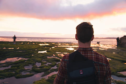 man, looking, sunset, guy, ocean, sea, people, backpack, knapsack, landscape, sky, standing, leisure activity, lifestyles, one person, real people, rear view, cloud - sky, casual clothing, young adult, nature, beauty in nature, men, checked pattern, scenics - nature, water, young men, outdoors, cityscape, looking at view, 4K, CC0, public domain, royalty free