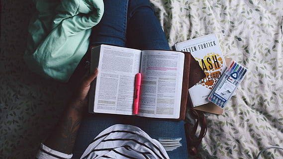 persona, detenzione, spiegare, libro, marcatore rosso, lettura, studia, Nota, Bibbia, evidenziatore, studiando, letto, journaling, rivista, penna, una persona, pubblicazione, adulto, vista dall'alto, Sezione centrale, parte del corpo umano, donne, natura, in casa, attività di svago, abbigliamento casual, mano umana, rilassamento, testo, mano, capi di abbigliamento, telo mare, 5K, CC0, dominio pubblico, privo di copyright