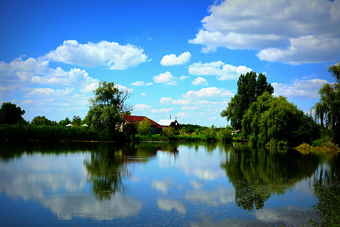 llac, salze, núvol, mirall, blau, reflexió, cel, núvol - cel, aigua, arbre, naturalesa, planta, tranquil·litat, escena tranquil·la, escenics - natura, bellesa a la natura, davant del mar, cap gent, dia, creixement, color verd, a l'aire lliure, 5K, CC0, domini públic, lliure de regalies