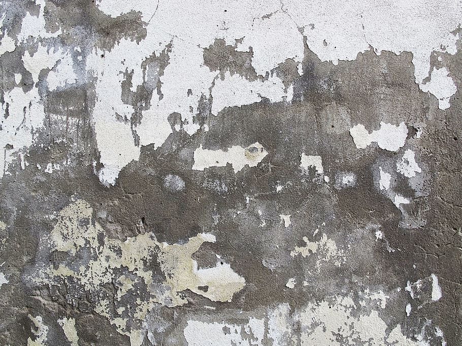 paret, enguixat, fons, estructura, textura, brut, resistent, esquerdes, taques, irregular, nua, grunge, vell, esquerdat, fràgil, ratllat, envelliment, trencar, façana, trencat, funció de construcció de parets, cap gent, marc complet, patró, aspre, descamació, espatllat, estructura construïda, aixafar, arquitectura, primer pla, deteriorament, mal estat, declivi, dia, pintura, concret, arruïnat, efecte texturat, 2K