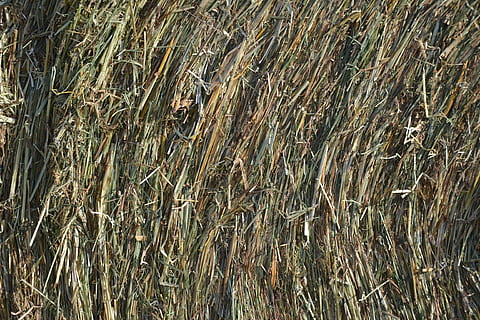 Heu, Rolle, Natur, Textur, trocken, Gras, Hintergründe, Pflanze, Wachstum, Vollbild, Land, Feld, Landwirtschaft, keine Leute, Getreidepflanze, Tag, Ernte, Bauernhof, High Angle View, ländliche Szene, Landschaft, Weizen, Ruhe, draußen, Bambuspflanze, 4K, CC0, gemeinfrei, lizenzfrei