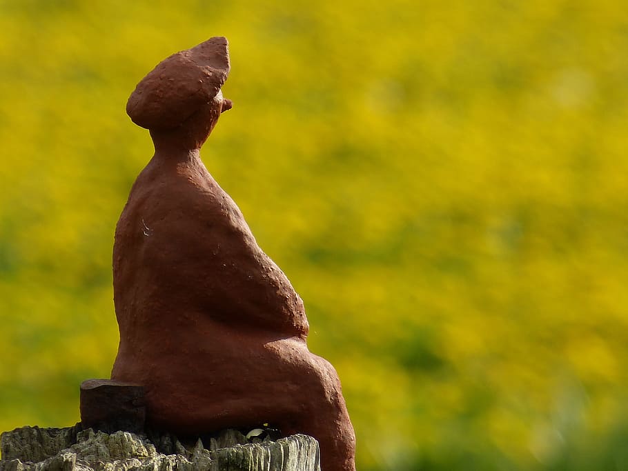 Zahl, sich ausruhen, sitzen, ein Tier, Tierwelt, Tiere in freier Wildbahn, draußen, Tag, keine Leute, Fokus auf den Vordergrund, Tierthemen, Tier, Natur, Säugetier, solide, braun, Baum, Wirbeltier, Rock, Rock - Objekt, Nahansicht, Skulptur, Schönheit in der Natur, Profilansicht, 4K