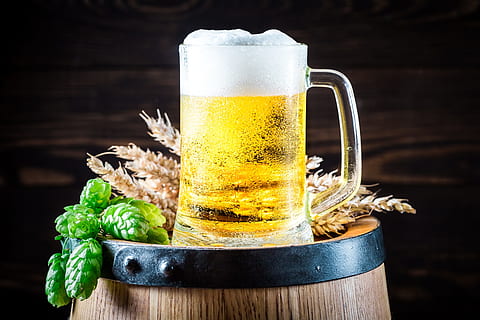 claro, jarra de cerveza de cristal, cerveza, picar, cerveza - alcohol, alcohol, comida y bebida, refresco, beber, vaso de cerveza, bebida espumosa, equipo doméstico, vaso, temperatura fría, adentro, naturaleza muerta, material de madera, frescura, comida, nadie, mesa, vaso de pinta, lager, barra de bar, vajilla, 5K, CC0, dominio público, libre de derechos