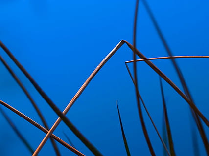 canna, halm, blu, graficamente, acqua, natura, minimalista, nessuno, avvicinamento, metallo, cielo, cielo sereno, connessione, giorno, concentrarsi sulle conoscenze acquisite, elettricità, all'aperto, industria, tecnologia, Inquadratura dal basso, industria di costruzioni, combustibile e produzione di energia, modello, architettura, luce del sole, Alimentazione elettrica, sfondo blu, 1080P, CC0, dominio pubblico, privo di copyright