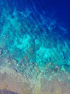fotografia a schermo piatto, subacqueo, corrals, aereo, fotografia, mare, acqua, modello, struttura, chiaro, giallo, blu, color turchese, bellezza nella natura, natura, vista dall'alto, nessuno, scenics - natura, giorno, sfondi, la tranquillità, scena tranquilla, idilliaco, fotogramma intero, terra, all'aperto, sottomarino, purezza, 4K, CC0, dominio pubblico, privo di copyright