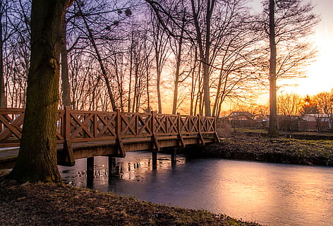 brown, wooden, bride, beside, green, tree trunk, yellow, blue, sky, daytime, bridge, dawn, dusk, overpass, river, sunrise, sunset, trees, tree, water, bridge - man made structure, connection, architecture, built structure, nature, plant, bare tree, no people, beauty in nature, reflection, trunk, scenics - nature, outdoors, arch bridge, 2K, CC0, public domain, royalty free