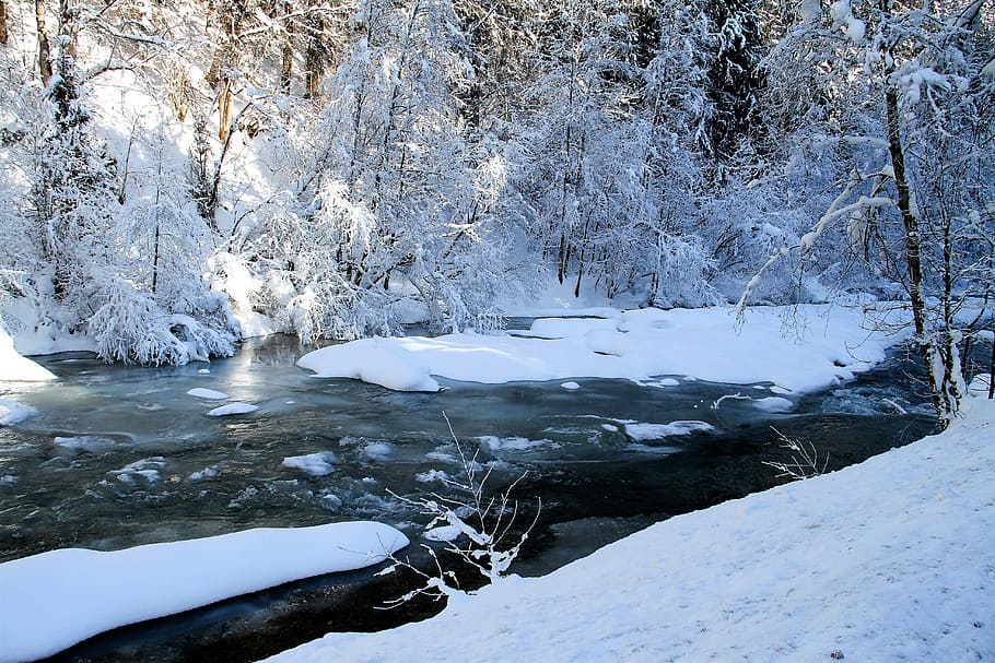 cobert de neu, riu, hivern, arbres, neu, bach, paisatge, fred, gelades, gelada, naturalesa, sol, dia assolellat, nevat, somni d'hivern, preciosa, fred gelat, congelat, barranc, vall, aigua, advent, Nadal, Conte de fades, temperatura de fred, arbre, bellesa a la natura, tranquil·litat, escenics - natura, escena tranquil·la, Color blanc, planta, cap gent, gel, escena no urbana, medi ambient, terra, a l'aire lliure, muntanya nevada, arbre de coníferes, 5K