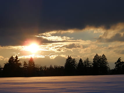 Wintersonne, Sonnenuntergang, winterlich, Bäume, Schnee, abendstimmung, Winterzauber, Himmel, Baum, Schönheit in der Natur, Pflanze, wolke - himmel, Szenen - Natur, ruhige Szene, Ruhe, Silhouette, Sonne, Sonnenlicht, Nicht-städtische Szene, Natur, Winter, keine Leute, kalte Temperatur, Umgebung, Nadelbaum, 2K, CC0, gemeinfrei, lizenzfrei