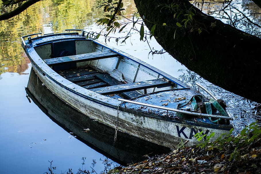 canoa blanca amarrada, arrencada, kahn, vaixell de rem, vell, vaixell, llac, malalt, estany, resistent, moll, vaixell nàutic, aigua, manera de transport, transport, abandonat, naturalesa, dia, reflexió, cap gent, planta, obsoleta, arbre, espatllat, amarrat, deteriorament, declivi, a l'aire lliure, aixafar, barca de rems, enfonsar-se, arruïnat, 5K