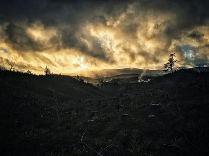Holz, Baum, Protokollierung, Wald, Berg, Abholzung, Gras, dunkel, Himmel, wolke - himmel, Umgebung, Schönheit in der Natur, Szenen - Natur, Landschaft, keine Leute, Sonnenuntergang, Ruhe, Natur, ruhige Szene, Land, Pflanze, draußen, Dramatischer Himmel, Dämmerung, Sturm, gruslig, bedrohlich, 4K, CC0, gemeinfrei, lizenzfrei