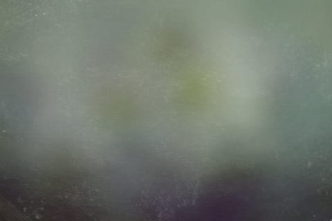 Textur, Hintergrund, weicher grunge, keine Leute, Tag, Baum, Hintergründe, Natur, abstrakt, Wald, grüne Farbe, Schönheit in der Natur, Pflanze, Ruhe, Vollbild, draußen, Wachstum, Land, Nebel, texturiert, Unscharf gestellt, Muster, 4K, CC0, gemeinfrei, lizenzfrei