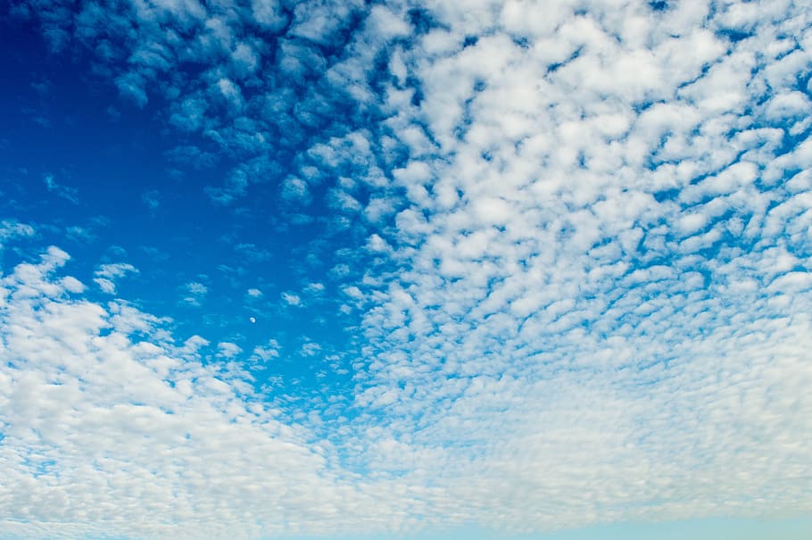 cel, núvols, cel blau, cian, blau, temps, llum, fons, naturalesa, textura, cap gent, marc complet, núvol - cel, vista d’angle baix, bellesa a la natura, cloudscape, escenics - natura, dia, tranquil·litat, Color blanc, idíl·lic, escena tranquil·la, a l'aire lliure, meteorologia, medi ambient, vent, 5K