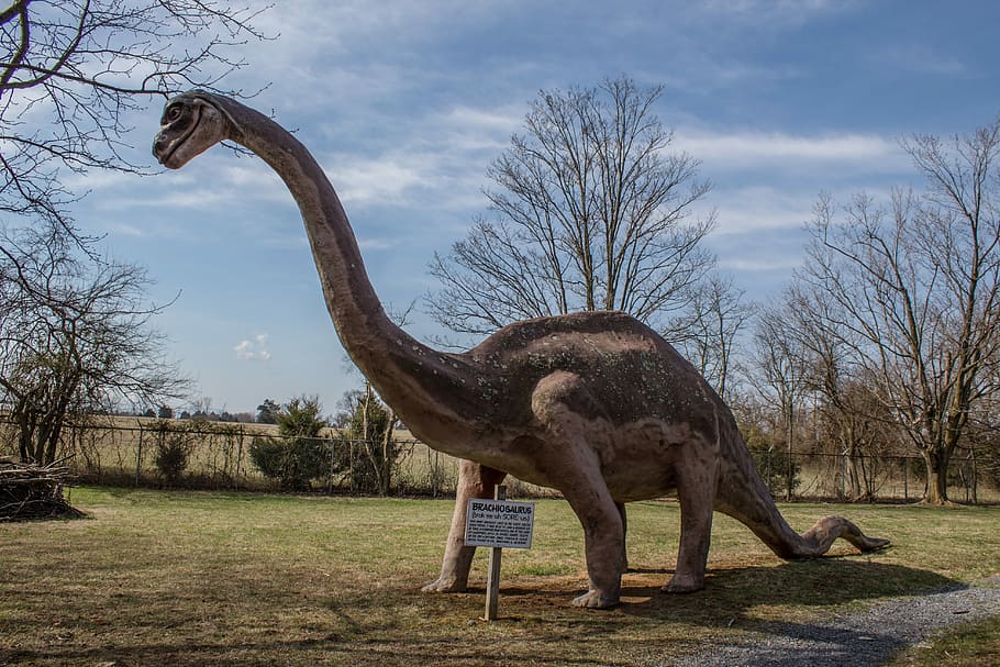 dinosaure, extingit, prehistòrica, criatura, un animal, temes d'animals, dia, cel, a l'aire lliure, fauna animal, animal, planta, arbre, arbre nu, cap gent, naturalesa, mamífer, herba, núvol - cel, animals a la natura, vista lateral, vertebrats, camp, longitud completa, 5K