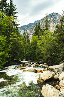 streaming, body, water, surrounded, tress, green, leafed, trees, river, tree, landscape, forest, mountain, plant, beauty in nature, rock, solid, nature, scenics - nature, rock - object, flowing water, day, motion, sky, non-urban scene, no people, tranquility, flowing, outdoors, stream - flowing water, power in nature, 5K, CC0, public domain, royalty free