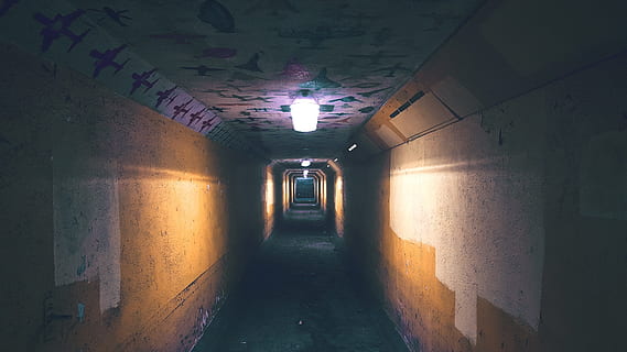ścieżka, ciemny, noc, światło, cień, architektura, droga naprzód, kierunek, sprzęt oświetleniowy, oświetlony, wewnątrz, żadnych ludzi, tunel, funkcja budowy ścian, pusty, malejąca perspektywa, zbudowana struktura, sufit, budynek, korytarz, brak, chodnik, arkada, światło - zjawisko naturalne, światło na końcu tunelu, długie, element elektryczny, aleja, 4K, CC0, domena publiczna, darmowe zdjęcia