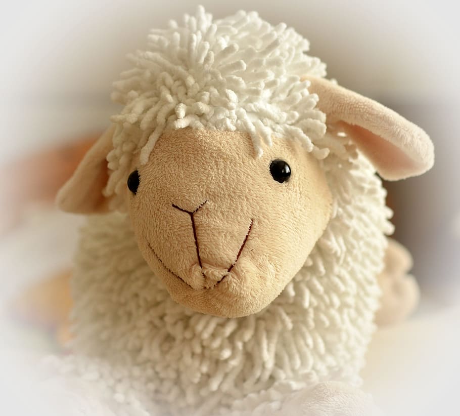 bianca, pecora, felpa, giocattolo, orsacchiotto di peluche, morbido, coccolone, carina, giocattoli per bambini, peluche, pupazzo di pezza, rappresentazione animale, rappresentazione, in casa, avvicinamento, nessuno, natura morta, morbidezza, arte e artigianato, singolo oggetto, animale giocattolo, mammifero, animale, creatività, concentrarsi sulle conoscenze acquisite, Colore bianco, 2K