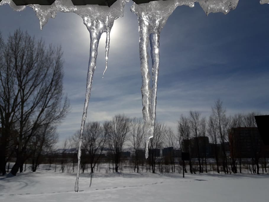 inverno, la neve, freddamente, albero, ghiaccio, natura, gelido, brina, temperatura fredda, cielo, albero nudo, nuvola - cielo, bellezza nella natura, congelato, nessuno, pianta, scenics - natura, Inquadratura dal basso, campo, ambiente, copertura, ghiacciolo, ramo, all'aperto, 4K