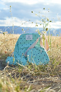 Grün, Lederrucksack, neben, Umhängetasche, Rasenplatz, tagsüber, blaugrüner Rucksack, crossbody, Tasche, Rucksack, Windmühle, Gras, Blume, Pflanze, Natur, Tag, Land, Feld, selektiver Fokus, keine Leute, Sonnenlicht, Text, draußen, Himmel, westliche Schrift, Kommunikation, grüne Farbe, wolke - himmel, Wachstum, Schönheit in der Natur, Blau, Ruhe, 5K, CC0, gemeinfrei, lizenzfrei