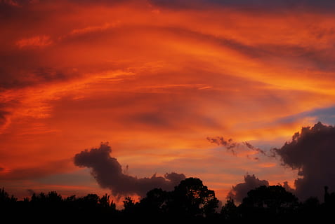 solnedgang, himmel, oransje, skyer, trær, formasjoner, vakker, sol, natur, sommer, landskap, utendørs, kveld, sollys, horisont, utsikt, skumring, silhouette, scenisk, rød, sky - himmel, tre, skjønnhet i naturen, anlegg, naturskjønnhet - natur, ro, oransje farge, ingen folk, rolig scene, idylliske, lav vinkel visning, dramatisk himmel, ærefrykt, rom, tretopp, 2K, CC0, offentlig domene, opphavsrett gratis