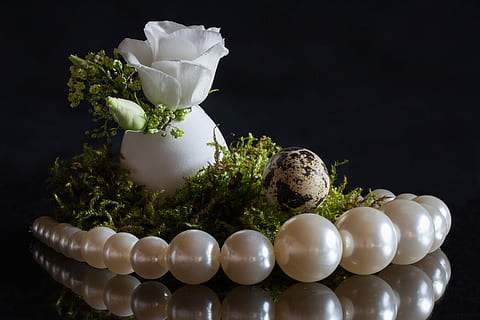 nærbillede foto, beaded, halskæde, æg, hvid, blomst, påske, blomster, plante, studio skud, sort baggrund, ingen mennesker, natur, friskhed, indendørs, blomstrende plante, skønhed i naturen, stilleben, kopiere plads, tæt på, arrangement, hvid farve, rigdom, vækst, dekoration, afspejling, blomster arrangement, luksus, 4K, CC0, offentligt domæne, royaltyfrie