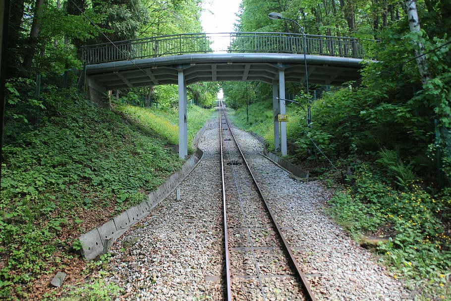 la cua, pistes, muntanyes, beskid, muntanya, herba, paisatge, vista, festa, pont, mòdul, transport per ferrocarril, planta, arbre, pista, direcció, vies del ferrocarril, el camí a seguir, transport, perspectiva decreixent, connexió, terra, naturalesa, creixement, bosc, color verd, dia, cap gent, pont - estructura feta per l'home, arquitectura, a l'aire lliure, llarg, paral·lel, 5K