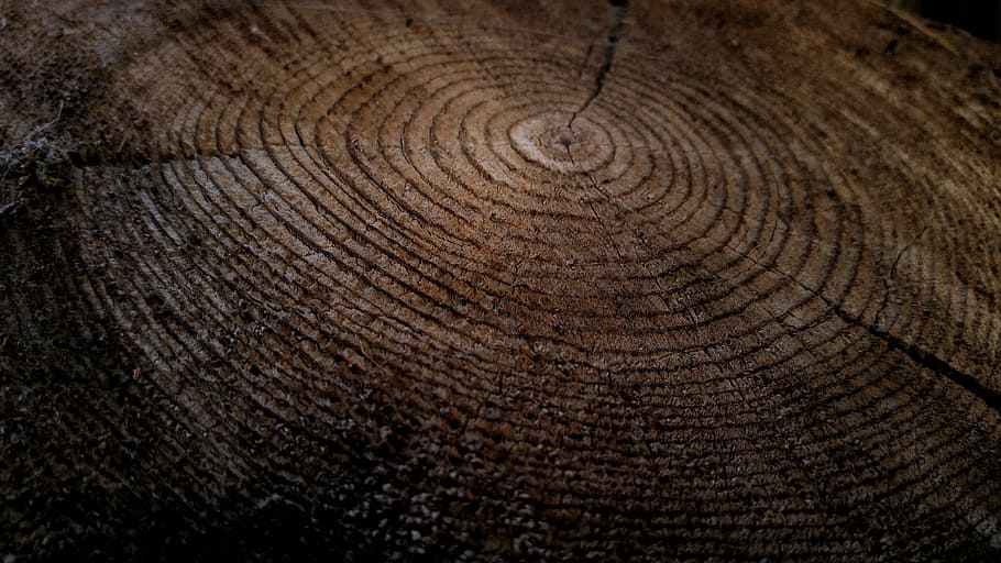 Nahansicht, Wachstumsringe, dick, Baumstumpf, ohne Titel, Baum, Holz, Textur, Kreis, Loch, Strudel, texturiert, Baumring, Muster, keine Leute, Hintergründe, Holz - Material, Vollbild, braun, Natur, natürliches Muster, konzentrisch, Borke, draußen, Holzmaserung, Tag, Pflanze, 5K