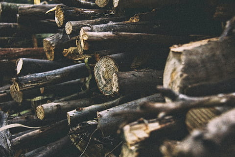 tumpukan kayu bakar, log, logging, kayu, tumpukan, kehutanan, tumpukan kayu, penggundulan hutan, industri, kayu bakar, bahan kayu, coklat, tua, latar belakang, logam, tidak ada orang, merapatkan, bingkai penuh, berkarat, hari, fokus selektif, mur - pengikat, ditinggalkan, menurun, lapuk, dalam ruangan, bertekstur, kemerosotan, rusak, baut, 5K, CC0, domain publik, bebas royalti